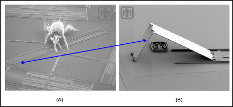 Figure 4. (a) A mite on a mirror assembly; (b) close-up of the elevated mirror.