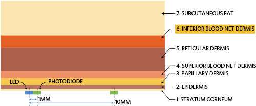 Figure 6. Simulation setup to determine optimal LED-photodiode separation
