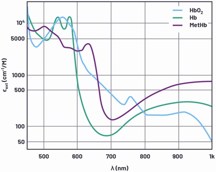Extinction factor of light through hemoglobin