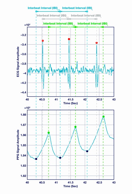 205649_Fig-4