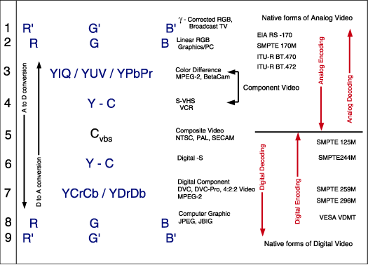 Hierarchy of Video Signals