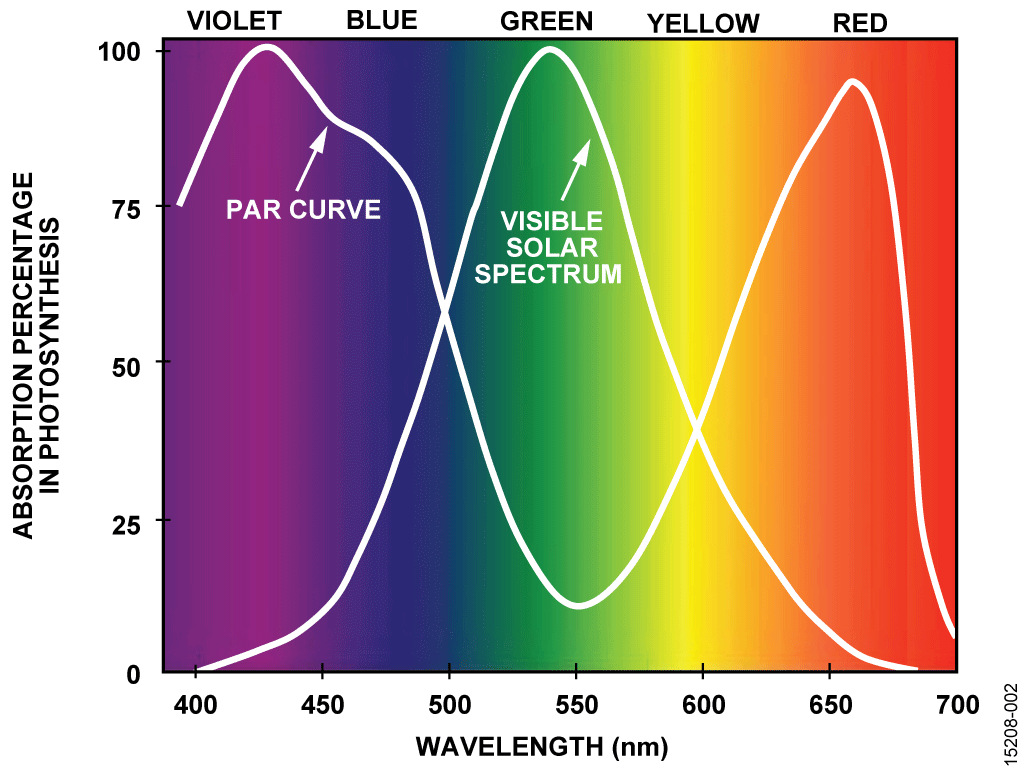 Typical PAR Curve and the Visible Light Spectrum