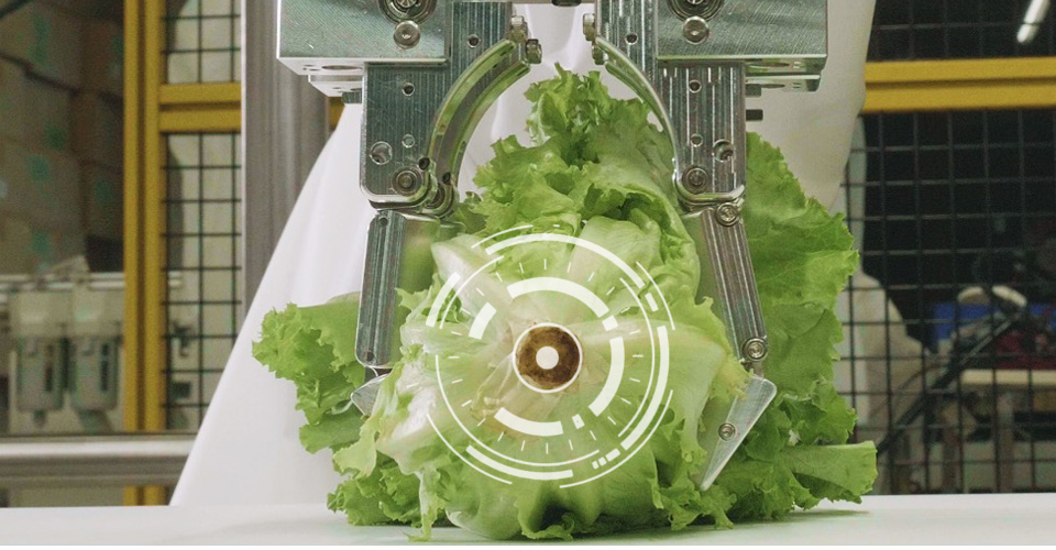 The CUTR machine holding a head of lettuce with white target digital overlay