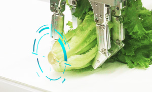 Side view of the CUTR machine holding a head of lettuce with white target digital overlay