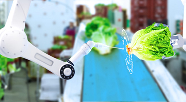 A pair of robotic arms in the process of cutting out the pit of a head of lettuce
