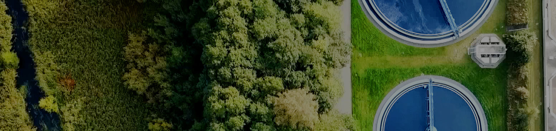 Water treatment pools in a wooded area
