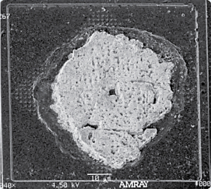 Figure 8