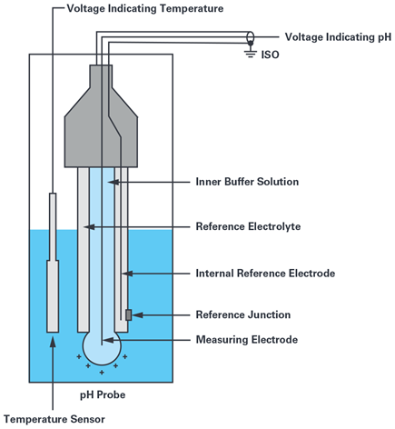 Figure 3. pH probe with temperature sensor.