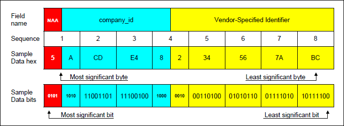 Figure 5. FC-PH IEEE registered name format.