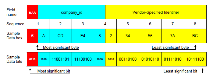Figure 6. FC-PH IEEE registered extended name format (first block).