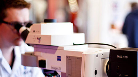 Scientist using a microscope