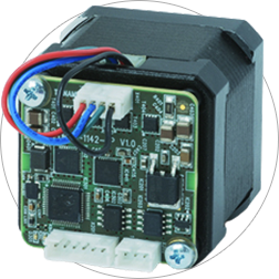 Custom Modules