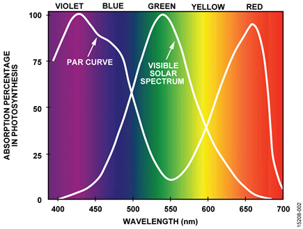 Typical PAR Curve and the Visible Light Spectrum