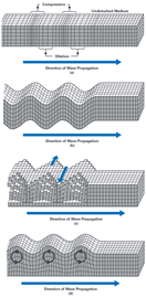 Figure 1. Types of seismic waves: (a) primary waves; (b) secondary waves; (c) Love waves; (d) Rayleigh waves.