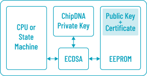 Authentication Key Generation