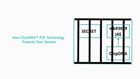ChipDNA Puf Technology