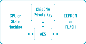 Internal Memory Encryption