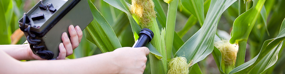 Environmental monitoring Environmental monitoring