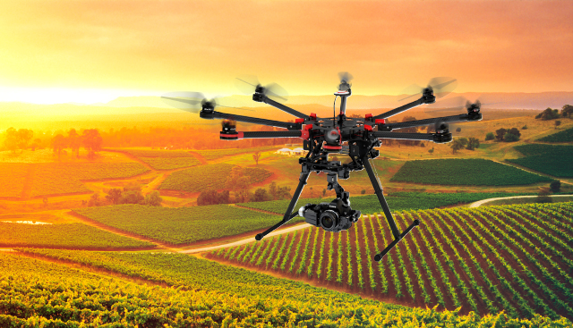 DJI