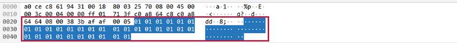 図10. 図9のファイルを使用した場合のWiresharkの表示結果