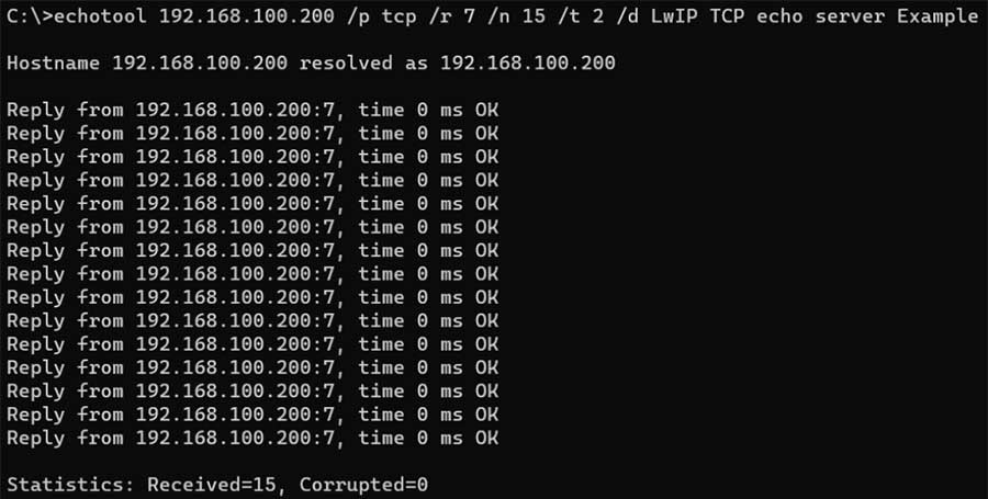 図13. TCP Echoサーバの応答