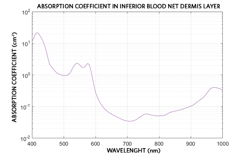 Figure 3. Absorption coefficient in the inferior blood net dermis layer as a function of wavelength.