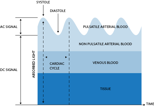 Figure 5. Light absorption of the skin and corresponding DC and AC levels.