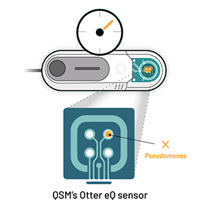 A graphic image showing Step 3 for how the Otter EQ works: illustration shows OtterEQ and OTTER QSM Sensor with sample of bacteria on the sensor. A clock describes the time it takes to read.
