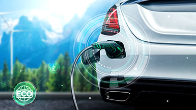 Seizing the Opportunity to Build a Sustainable Energy Ecosystem