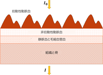 図 1. 拍動性動脈血、その他の血液、組織の構成要素