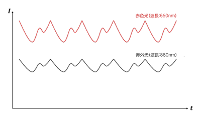 図 2. PPG 信号の例。赤色 LED と赤外線 LED からの光をフォトダイオードで検出しました。