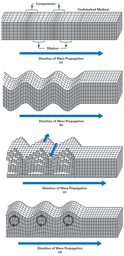 Figure 1. Types of seismic waves: (a) primary waves; (b) secondary waves; (c) Love waves; (d) Rayleigh waves.