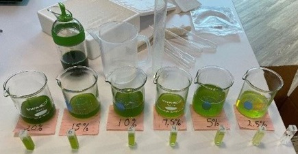 Figure 11. Chlorophyll samples made with spinach.