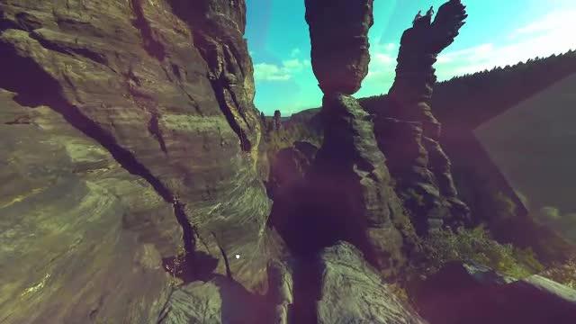 video image